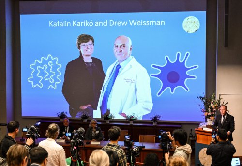 Nobel Prize in Medicine Goes to Scientists Behind mRNA COVID Vaccines