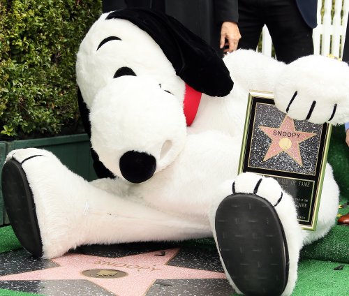Snoopy Gets a Star on Hollywood’s Walk of Fame