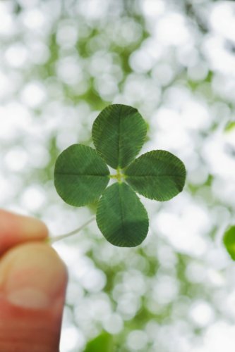 How to Attract Good Luck: 4 Secrets Backed by Research