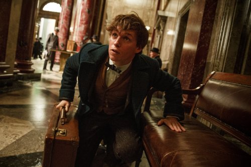 7 Harry Potter Callbacks to Look Out For in Fantastic Beasts