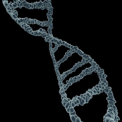 Explaining ‘Epigenetics’: The Health Buzzword You Need to Know