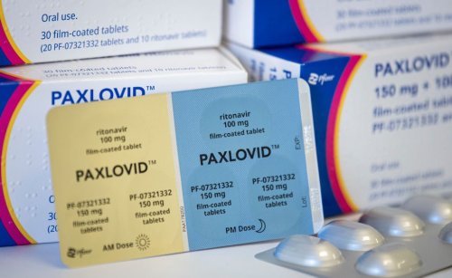 Here’s What You Need to Know About Paxlovid | Flipboard