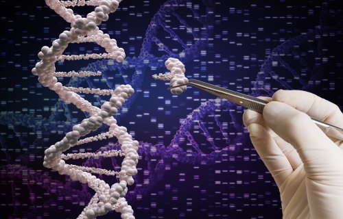 CRISPR Gene Editing Is Being Tested in Human Patients, and the Results Could Revolutionize Health Care