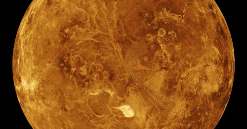 Signs of Life on Venus Hint at Biology Pretty Much Anywhere in the Universe