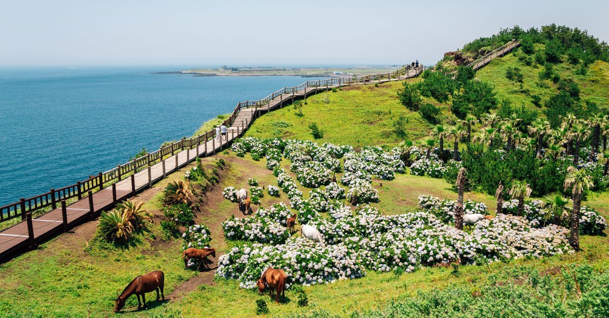 Jeju Island, South Korea