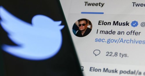 'We're Back.' Far-Right Groups Celebrate Elon Musk's Twitter Takeover