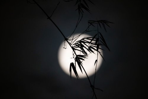 Full Moon In Indonesia