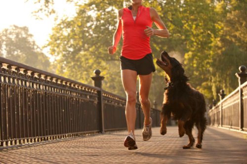 13 Fun Ways to Work Out With Your Dog