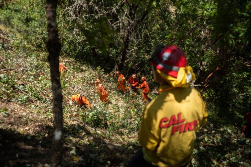 California Is Stepping Up Fire Prevention Efforts—But It Hasn't Fixed One of the Biggest Problems