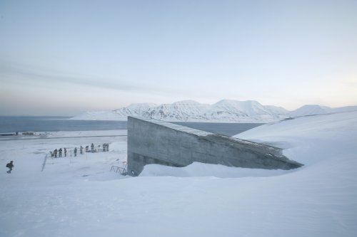 The Syrian War Has Prompted the First Ever Withdrawal From the Doomsday Seed Vault