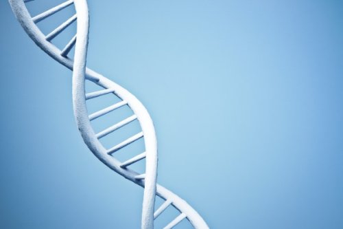Ancient Human Genes Cause New Confusion For Science