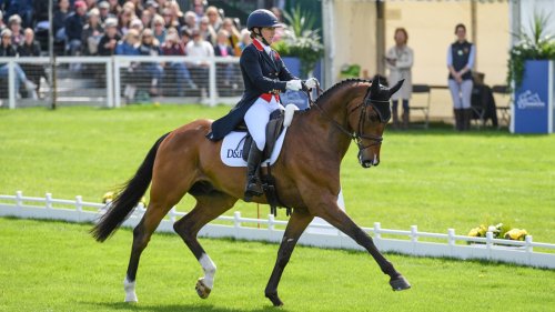Anna Ross: ‘The top riders’ tests were sublime, with power, poise and presence’ - Horse & Hound