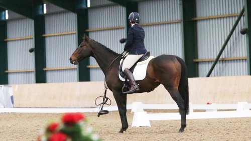 ‘We left the arena and careered around the judge’s car’ and 21 more dressage bloopers