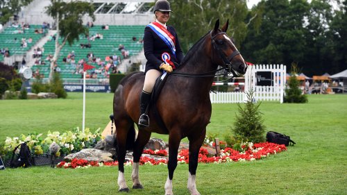 2023 Royal International Horse Show showing judges announced