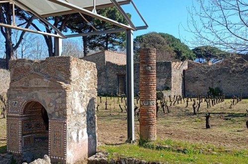 Pompeii wine production rises from the ashes
