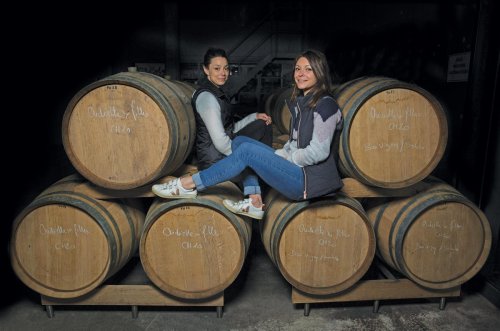 Champagne’s star winemakers of tomorrow