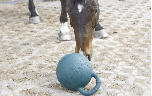 12 toys to help horses beat their boredom