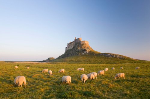 Lindisfarne, Northumberland: The Holy Island with a castle, priory and 1,500 years of history