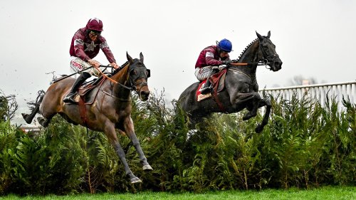 ‘I wish Tiger Roll was coming home with me’: Davy Russell reviews the Cheltenham Festival - Horse & Hound