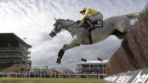 ‘Wonderful’ retirement beckons for grey hero who captured fans’ hearts
