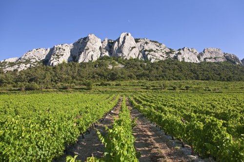 Gigondas, Vacqueyras & Beaumes de Venise 2021: report and top-scoring wines