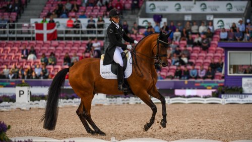 World Dressage Championships gold medal-winning horse moves to new rider