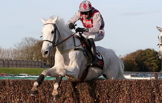 Smad Place – Hennessy Gold Cup winner