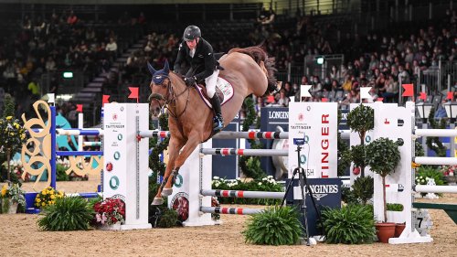 *Opinion* John Whitaker: ‘The Global Champions League is just like Formula One’