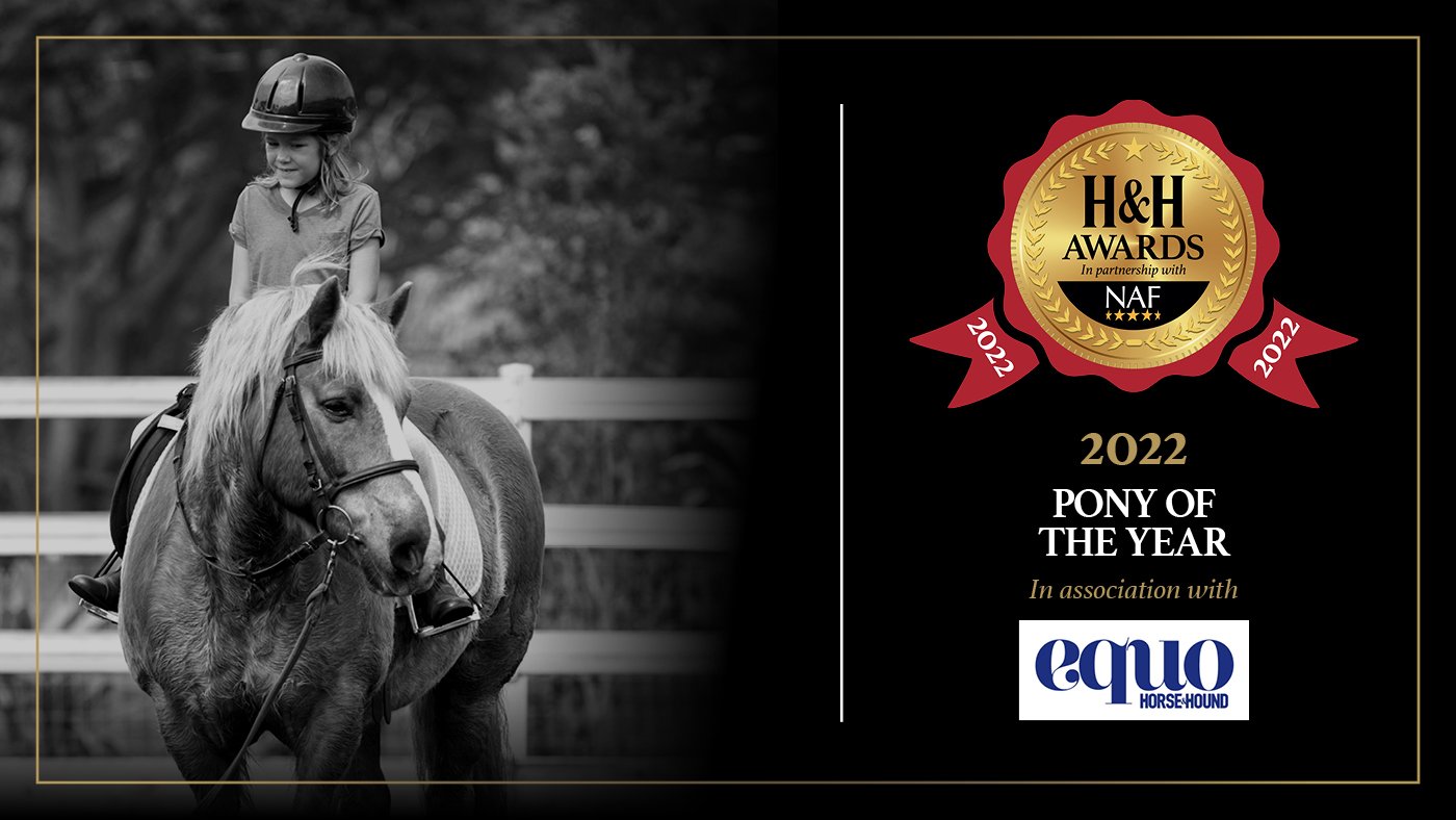 RDA stalwart Forestor is crowned Equo Pony of the Year 2022