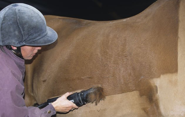 Important jobs all horse owners need to do – ideally before the clocks go back