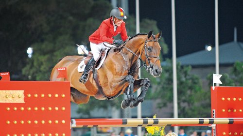 ‘One of the greatest horses to ever live’: legendary showjumper dies aged 30