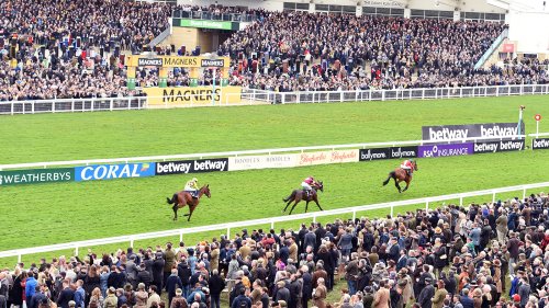 Who won which race? Your one-stop shop for Cheltenham Festival 2023 results