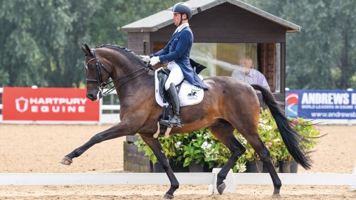 The Horse & Hound Podcast 95: Grand prix dressage rider Sonnar Murray-Brown | Cheltenham Festival review | Bitting issues | News round-up - Horse & Hound