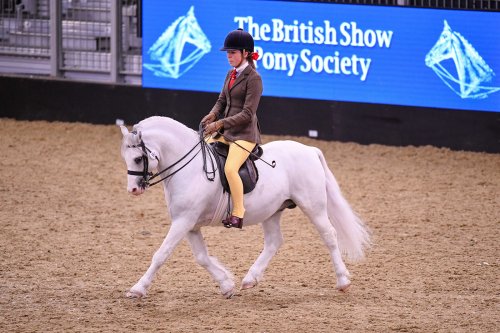 London International Horse Show cover image