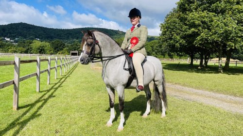 ‘This one’s for you, Mum’: rider who lost her mother is off to HOYS with home-produced stallion