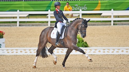 Valegro piaffing like a boss at 20, a major tack malfunction, and other things the horse world is talking about