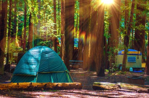 Here are the opening dates for national park campground reservations