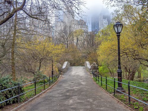 100 Best Things to Do in NYC for locals and tourists