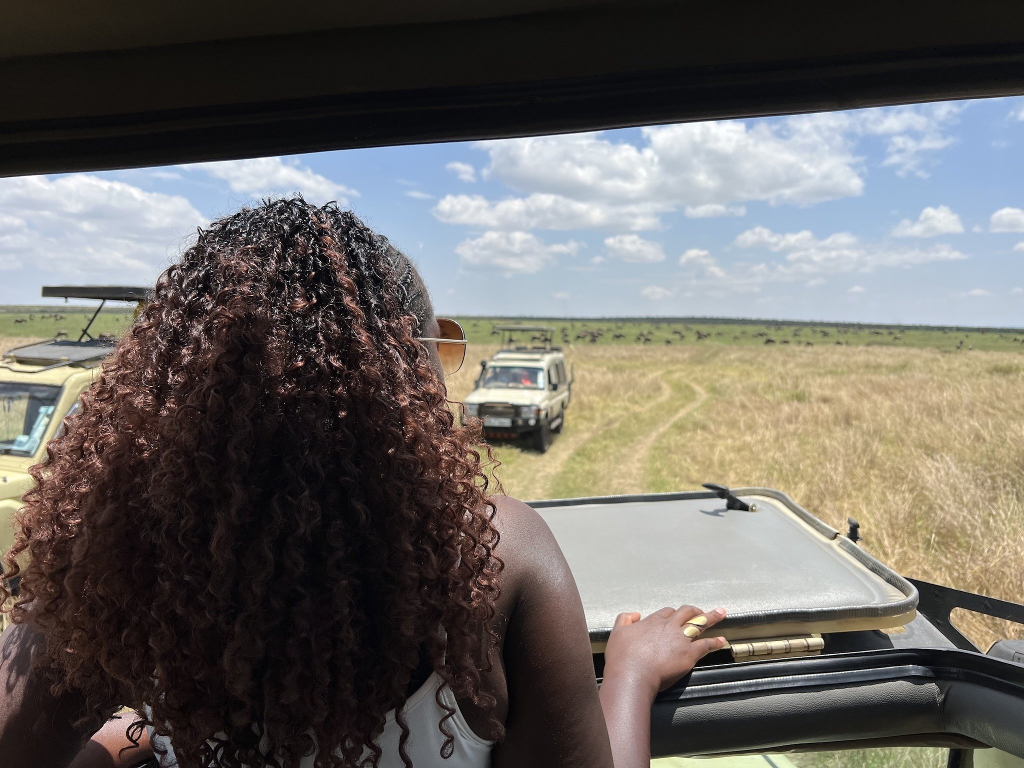 ‘We are always the unexpected guest’: The reality of going on safari as a Black traveller