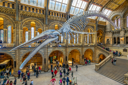 The UK’s most popular indoor attraction is in London