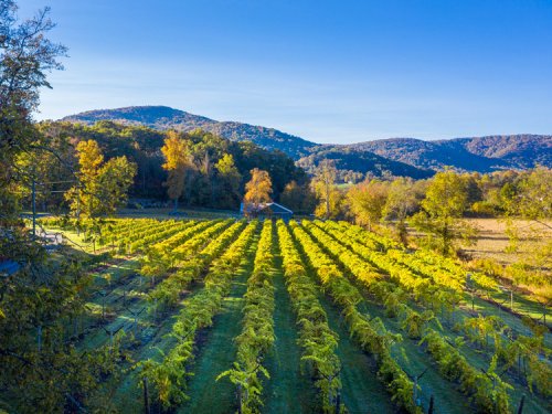 10 secret wine regions in the US