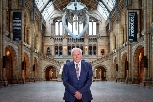 Sir David Attenborough and the Natural History Museum have teamed up for a new immersive experience