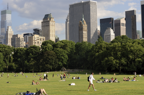 Central Park’s Great Lawn will be closed to the public until April