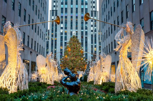 The 2019 Rockefeller Center Christmas Tree has been officially chosen