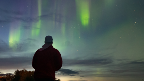 Want to maximise your chances of spotting the Southern Lights?