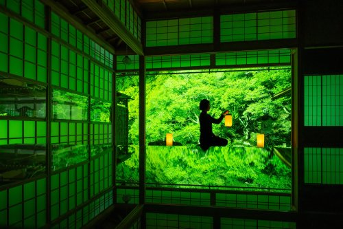 This hidden temple in Gifu is offering a special nighttime photo op this June