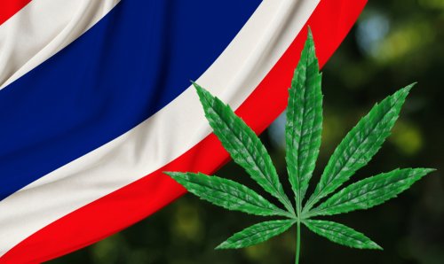 Could Thailand become the next big holiday destination for stoners?