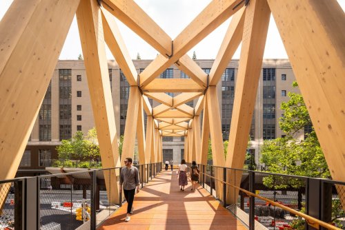The new High Line – Moynihan Train Hall Connector bridge is now open!