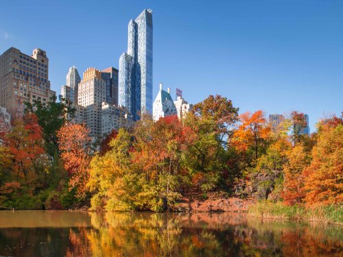 You can now track NYC’s vibrant fall foliage with this handy tool