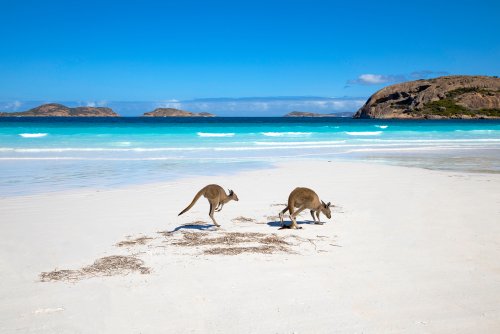 It's official: This secluded beach in WA is the best in the world
